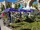 parasol montpellier metropole (8).webp