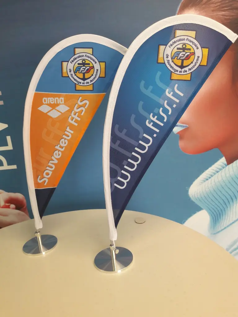 MiniFlag FFSS (1).webp