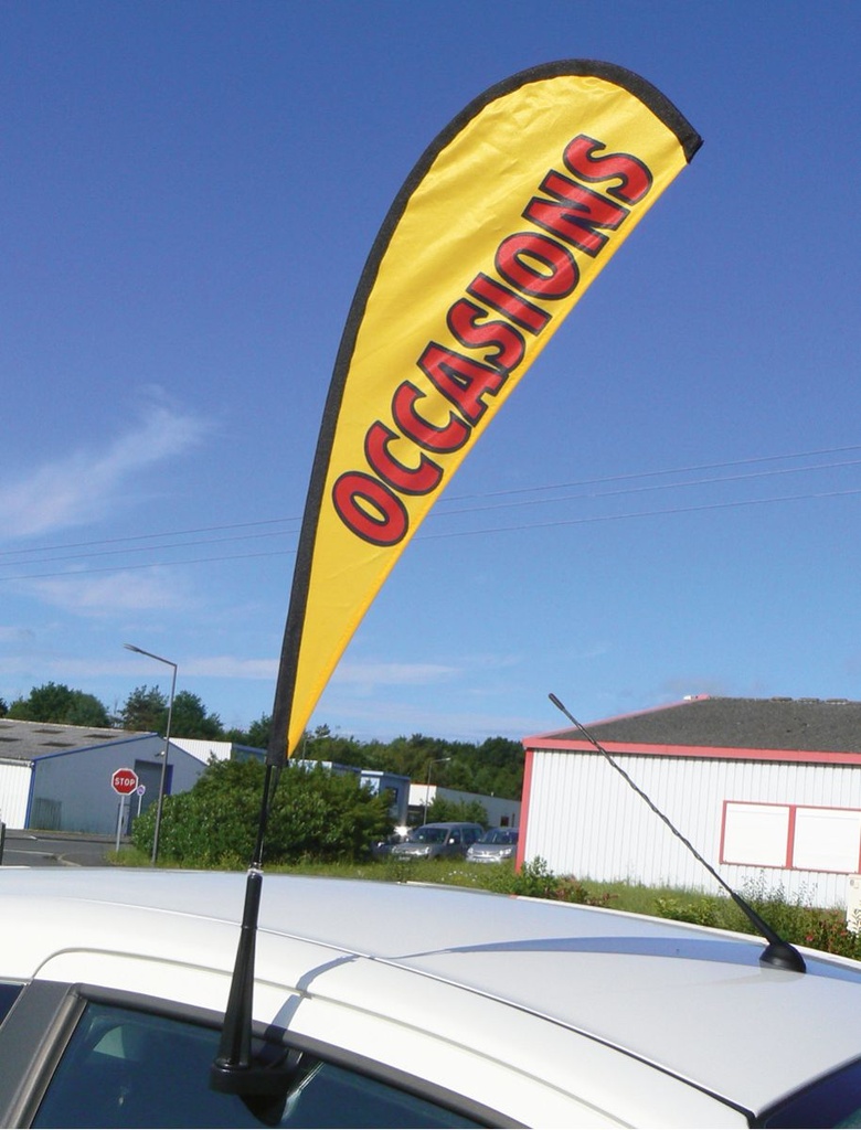 Mât Drapeau Pour Vitre Voiture  60cm